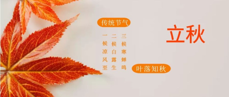 立秋：一叶落，知天下秋